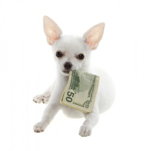 Dog-money-ate